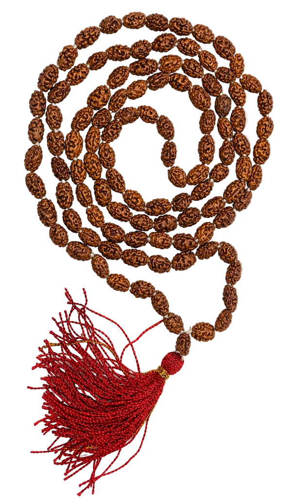 Premium 2 Mukhi Rudraksha Mala Original Java 108+1 Beads for Men Women Meditation Puja Premium 2 Mukhi Rudraksha Mala Original Java 108+1 Beads for Men Women Meditation Puja
