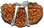 1 Mukhi Rudraksha of Premium Quality in Silver Pendant Form 1 Mukhi Rudraksha of Premium Quality in Silver Pendant Form