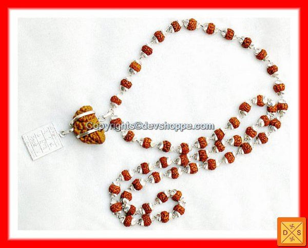 One Faced (1 Mukhi) Rudraksha with Surya Yantra and Silver Rudraksha Mala One Faced (1 Mukhi) Rudraksha with Surya Yantra and Silver Rudraksha Mala