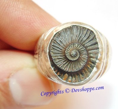 Sri Shaligram ( Salagram) Sudarshan Shila silver ring Sri Shaligram ( Salagram) Sudarshan Shila silver ring