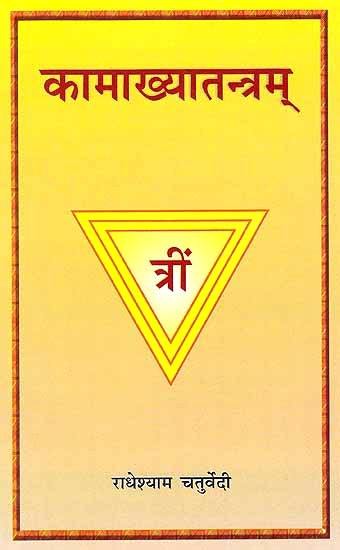 Kamakhya Tantram - a book in Sanskrit with Hindi Commentary - Devshoppe