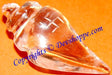 Crystal Shankha for Wealth , Prosperity , Good luck and removal of negativity - Devshoppe