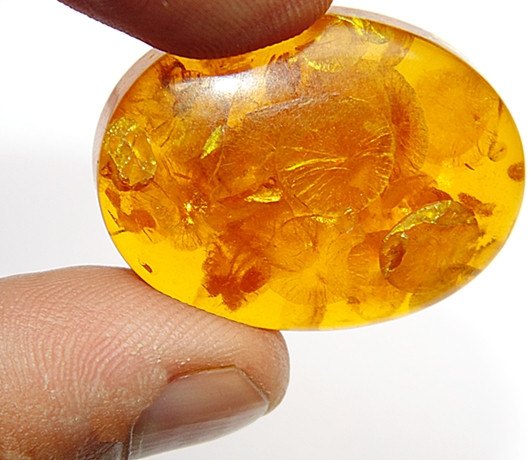 33.70 Cts. Lab Certified Natural Golden Honey Baltic Amber Cabochon - Devshoppe