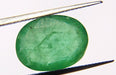 Lab Certified Columbian Emerald (Panna) 5.65 Carat - Devshoppe