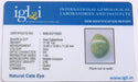 Lab Certified Natural Cat's eye gemstone (Lehsuniya) 17.46 Carat - Devshoppe