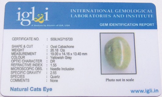Lab Certified Natural Catseye Gemstone (Lehsuniya) 26.18 Carat - Devshoppe