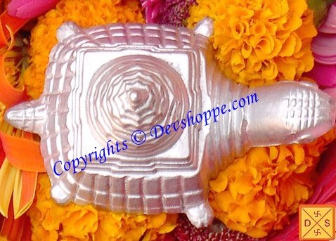 Parad Meru yantra on tortoise for wealth and prosperity Parad Meru yantra on tortoise for wealth and prosperity