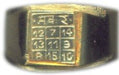 Makara (Capricorn) Rashi / Rasi / Zodiac ring in Brass - Devshoppe