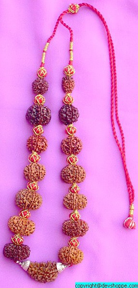 Rudraksha Siddhar Mala with 1 -14 Faced Rudrakshas Rudraksha Siddhar Mala with 1 -14 Faced Rudrakshas