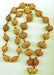 Rudraksha Siddhar Mala with Rudrakshas 1 -14 faced and Sandalwood Beads ~ Top Quality beads - Devshoppe