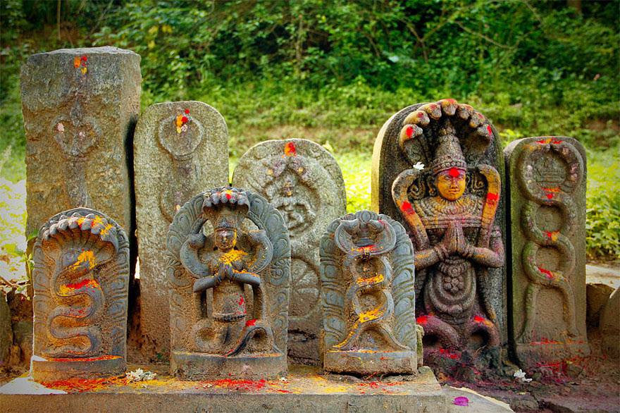 Shri Navnag stotra in Sanskrit ( श्री नवनाग स्तोत्र )