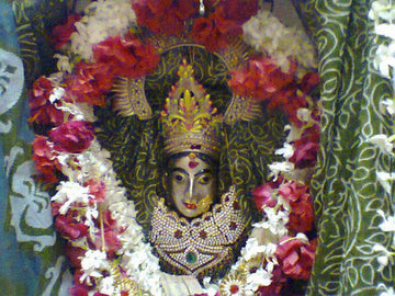 Shri Sankata Devi Strotam in Sanskrit - ( श्री सङ्कटास्तोत्रम् )