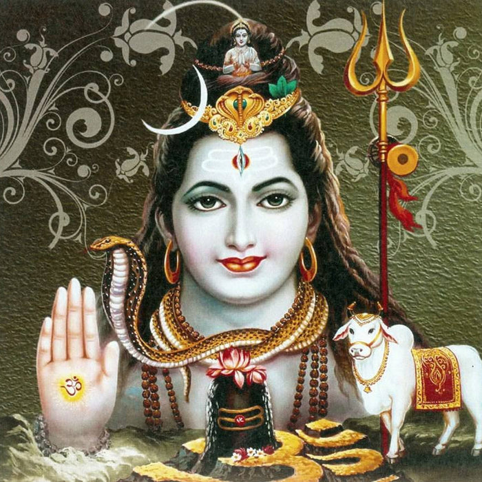 Shri Shiva Panchakshara Stotram with meaning  ( श्री शिव पञ्चाक्षर स्तोत्रम् )