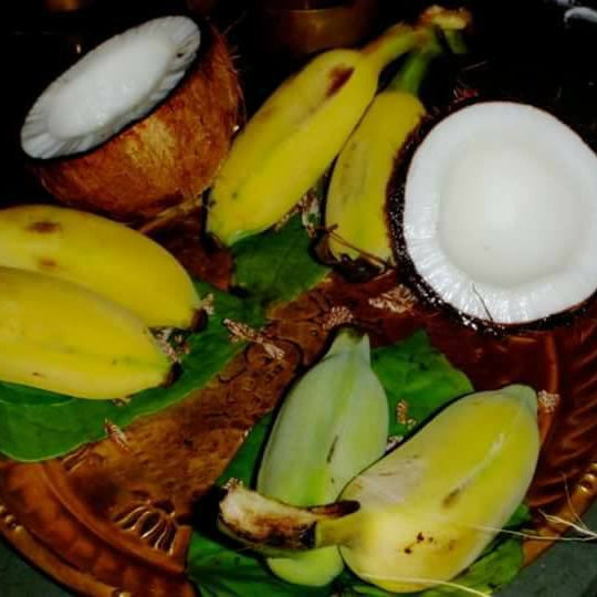 Birth of Coconut