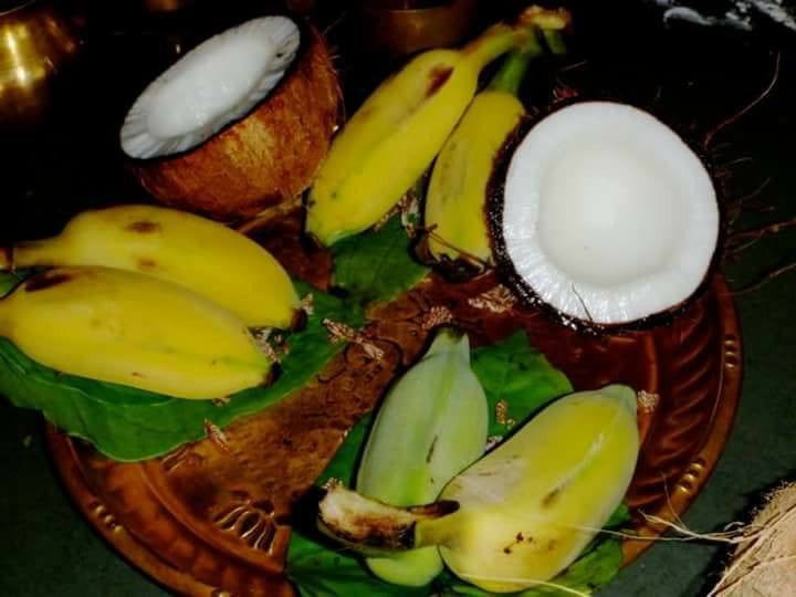 Birth of Coconut