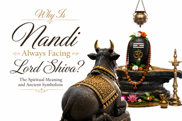 Why is Nandi always facing Lord Shiva?