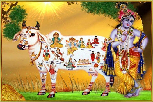 20 GAU MATA ideas  krishna art lord krishna images krishna radha painting