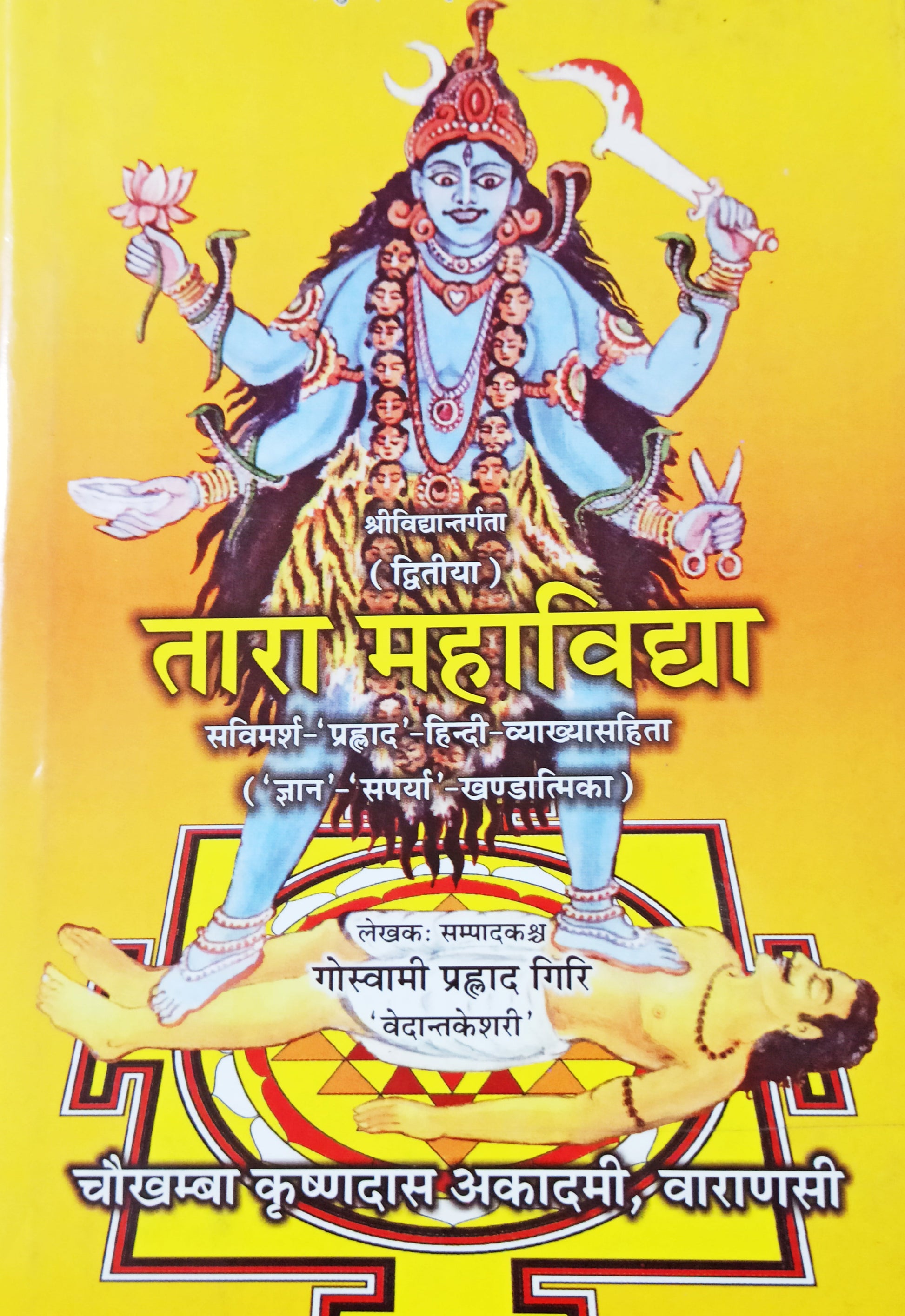 तारा महाविधा हिंदी पुस्तक कवर, देवी तारा की चित्रकला और शीर्षक