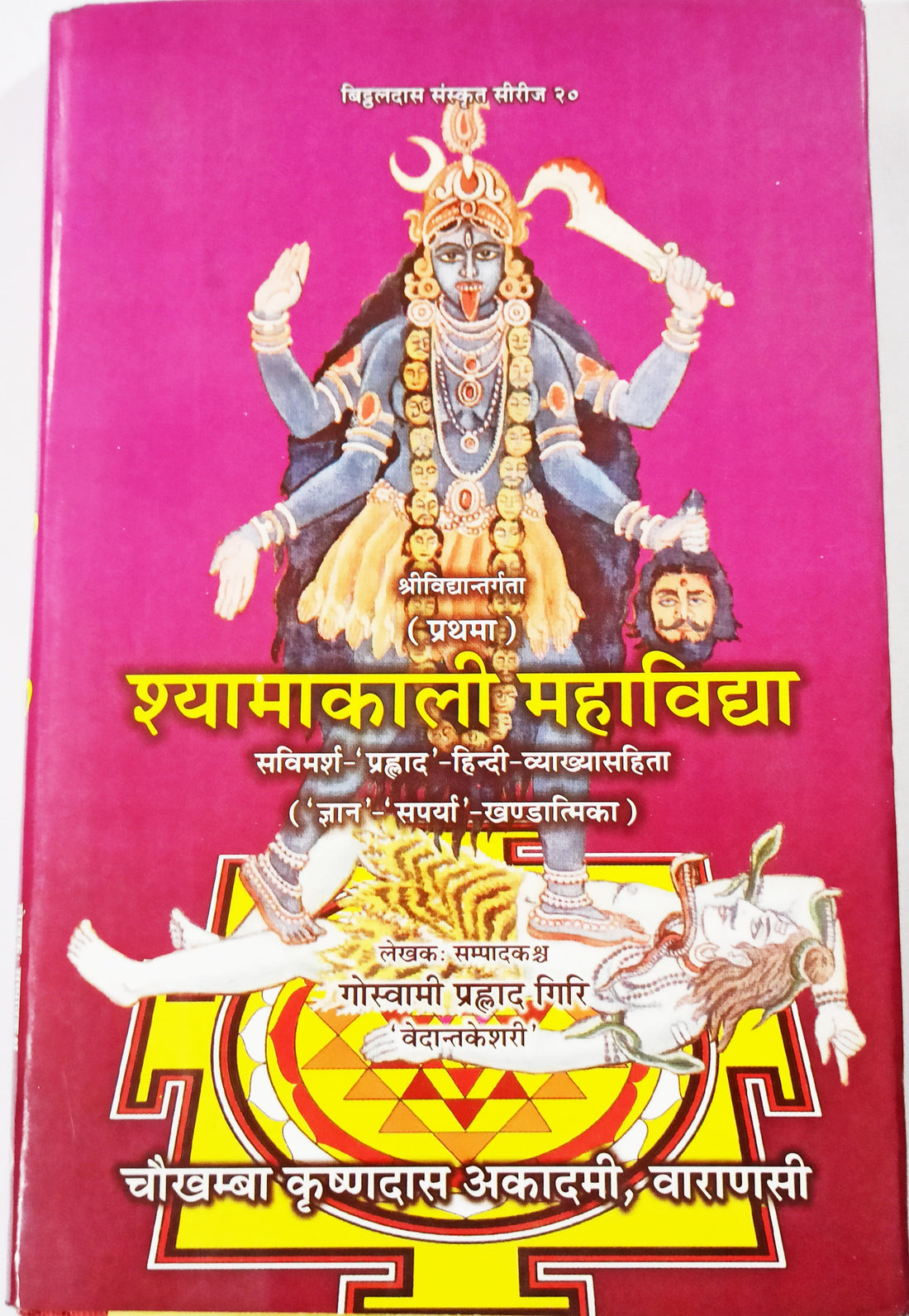 श्यामाकाली महाविध्या पुस्तक का कवर, देवी श्यामाकाली की चित्रकला