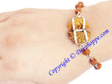 Premium quality One faced Rudraksha twin beads bracelet in silver wire