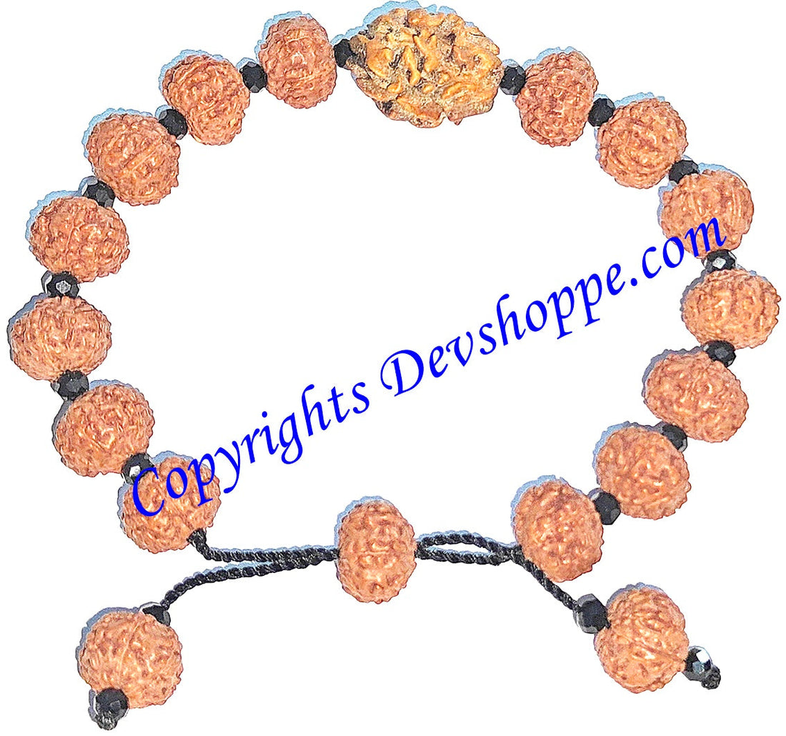7 & 2 mukhi Rudraksha bracelet, red-brown beads with glass spacers