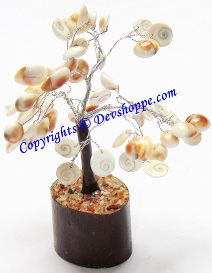Gomti Chakra tree for Goodluck and Positive energy - Devshoppe
