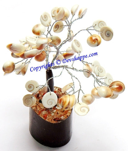 Gomti Chakra tree for Goodluck and Positive energy - Devshoppe