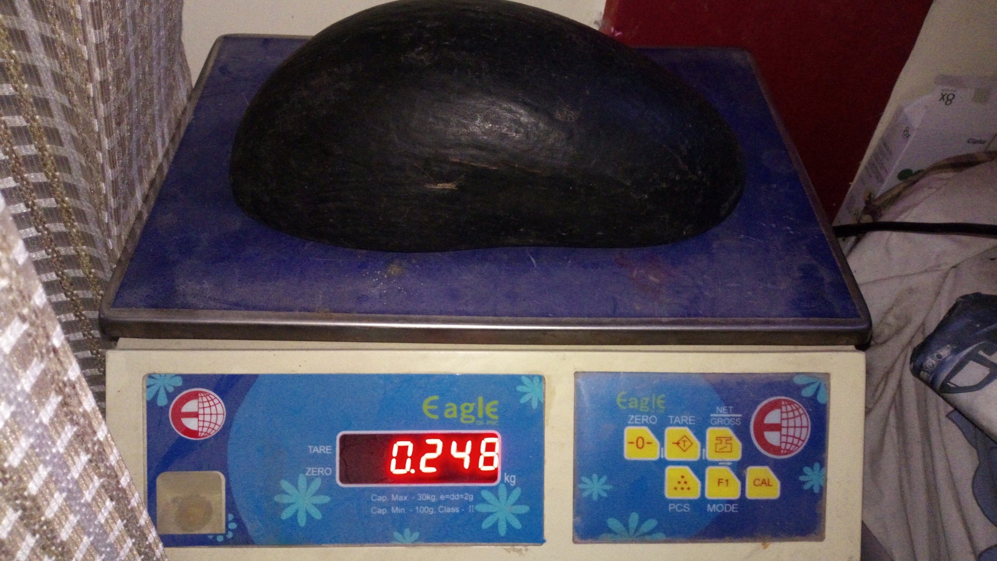 Dark coco de mer khappar on weighing scale, display shows 0.248 kg