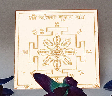 Shri Tryambak pujan yantra on copper plate with golden yantra design