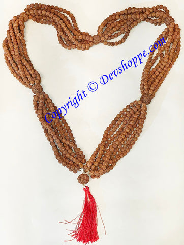 5 Mukhi / Face Rudraksha Kantha mala (1008+1 beads)