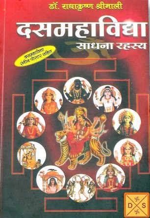 दस महाविद्या साधना रहस्य ग्रंथ का मुखपृष्ठ, अनेक देवी-देवताओं की चित्रकारी