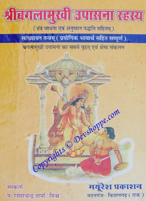 हिंदी पुस्तक कवर: श्री बग़लामुखी उपासना रहस्य, देवी का चित्रण