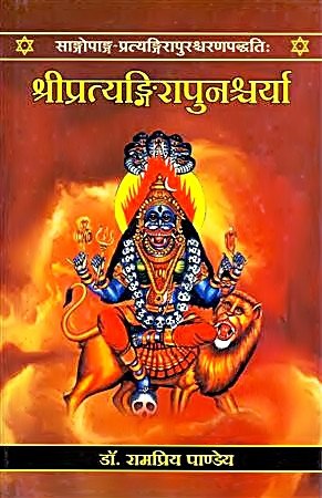 श्री पितृप्रीयाशन पुरुषाध्याय पुट्ठपृष्ठ, देव आकृति, अग्नि-प्रभाव वाला पुस्तक कवर