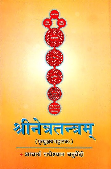 पुस्तक का मुखपृष्ठ, लाल-नीला अलंकारिक स्तंभ प्रतीक व संस्कृत-हिंदी शीर्षक