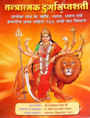 तनत्रामक दुर्गा सप्तशती हिन्दी पुस्तक कवर: दुर्गा और सिंह, त्रिशूल व अन्य हथियार