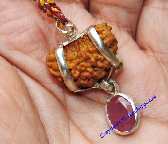 One Mukhi Rudraksha silver pendant: orange seed texture, red ruby gemstone