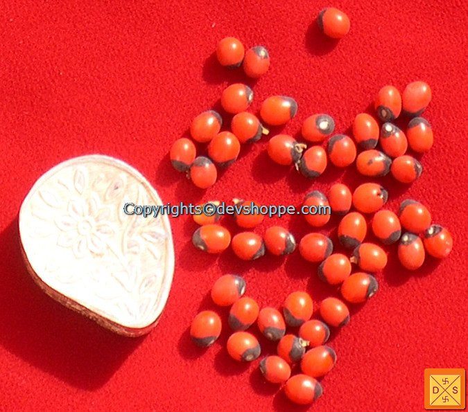 Red chirmi beads with silver box and metal studs, clustered red beads on the lid