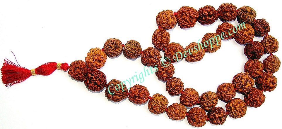 Rudraksha mala (36+1) with red tassel; textured beads