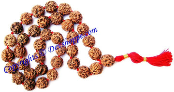 Three-faced Rudraksha mala: natural brown beads with red tassel