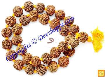 Six-faced Rudraksha 32+1 mala with yellow separator beads and tassel