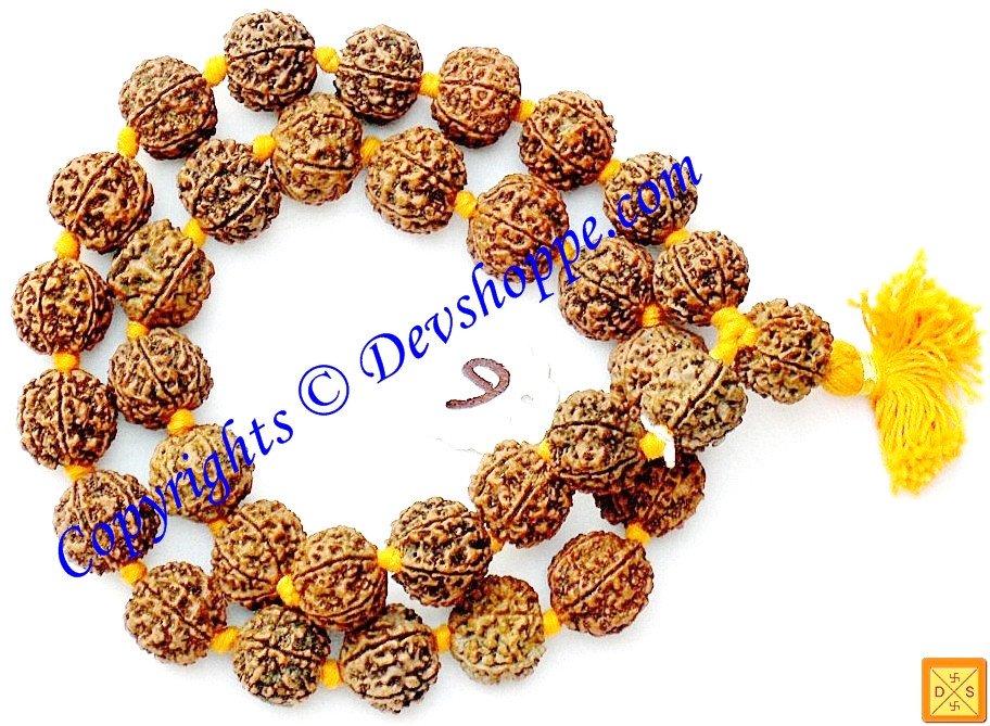 Six-faced Rudraksha 32+1 mala with yellow separator beads and tassel