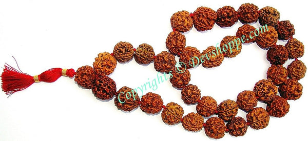 Rudraksha 4 mukhi (four faced) Rudraksha mala of 36+1 beads - Ordinary Quality