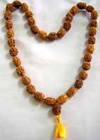 Rudraksha mala with brown natural beads, 36+1, and a yellow tassel