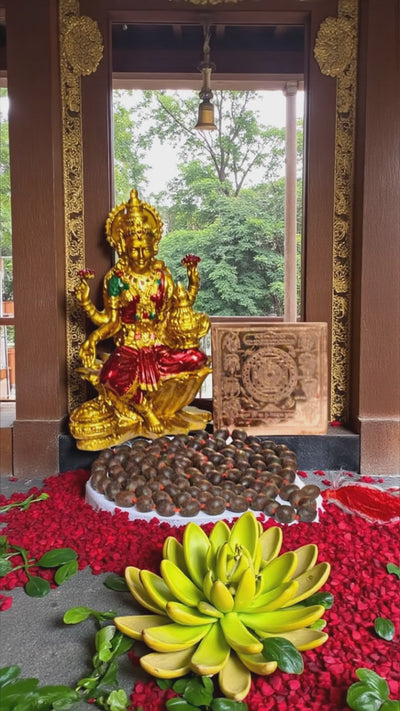 Diwali Special - Goddess Lakshmi idol with Sri Ashta laxmi yantra and Kamal gatta mala