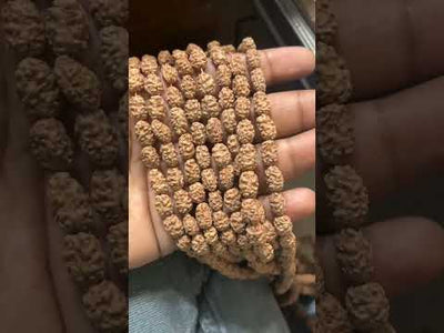 Two faced Rudraksha mala of Javanese origin