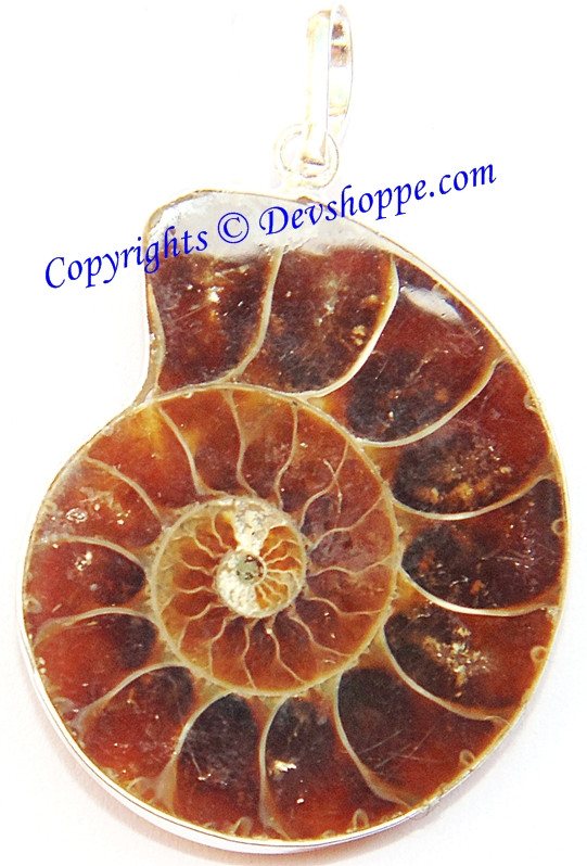 Ammonite pendant in white metal with red shell fossil, teardrop shape