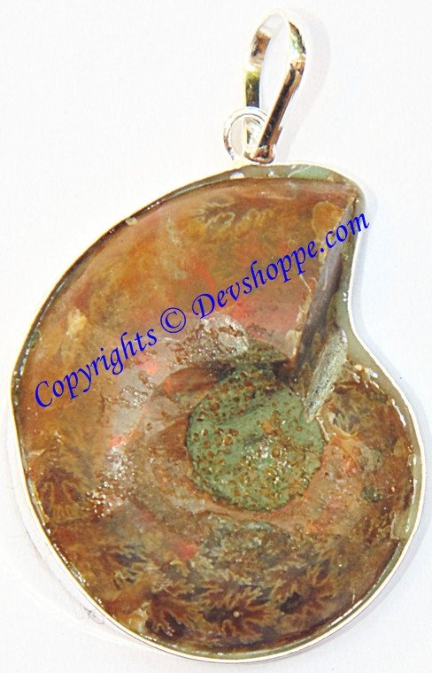 Ammonite pendant in white metal with red shell fossil, teardrop shape