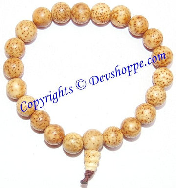Tibetan Buddhist Xing-Yue (Xingyue) Bodhi Seed Prayer Beads Bracelet - Devshoppe
