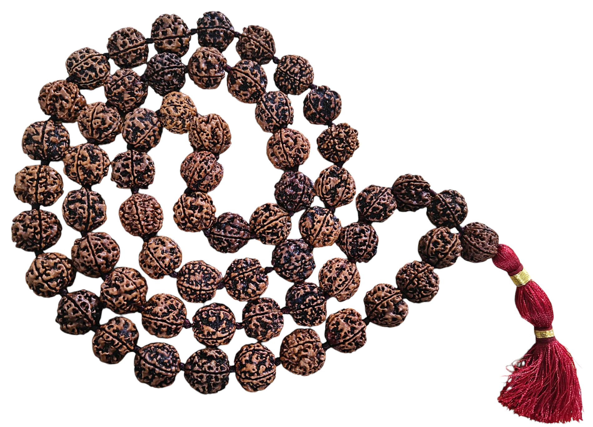 Rudraksha Five faced collector sized beads mala