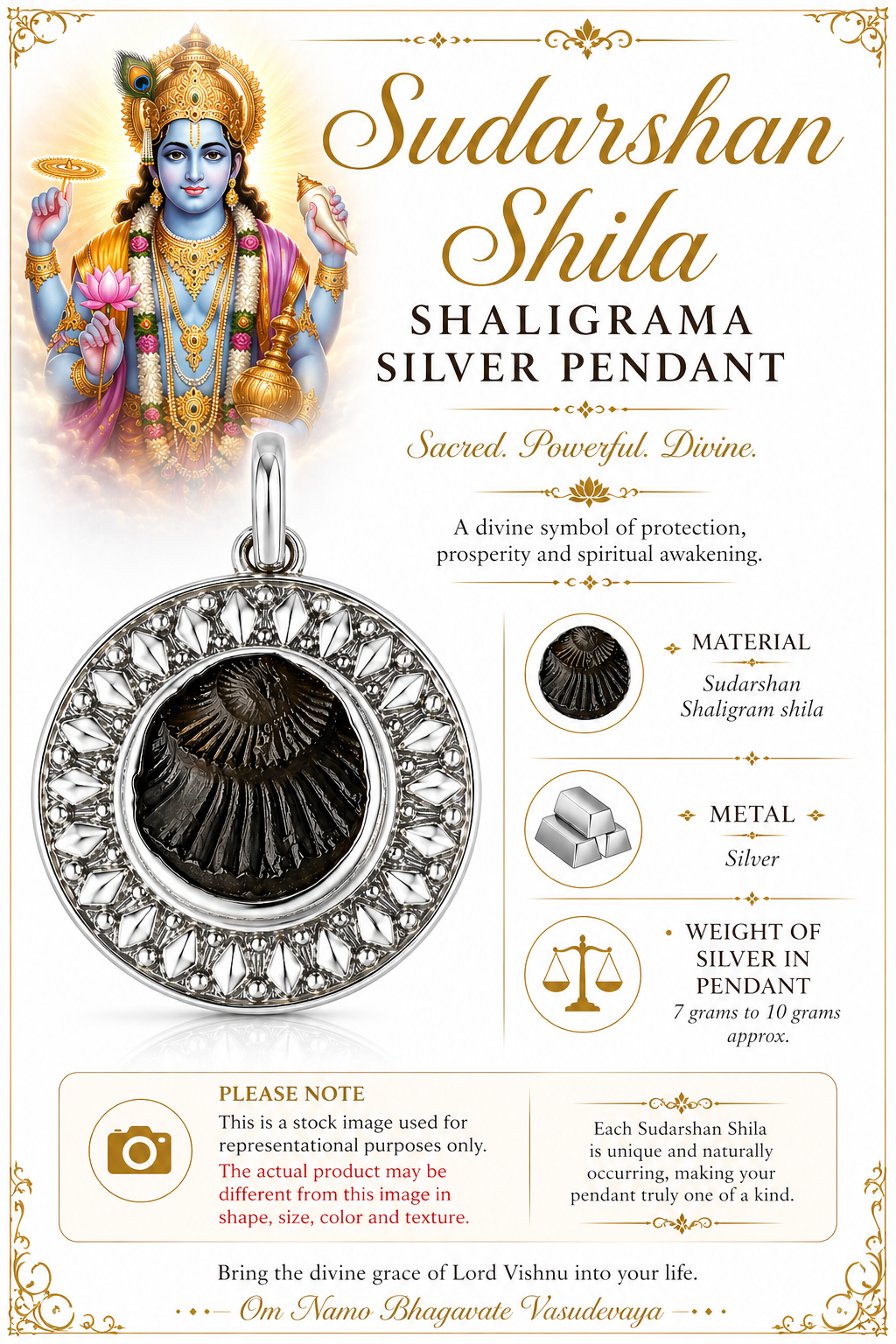 Round silver pendant with ornate border and dark Shaligram-style center medallion